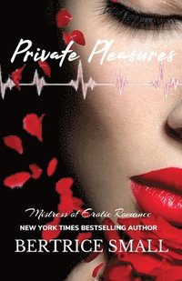 bokomslag Private Pleasures
