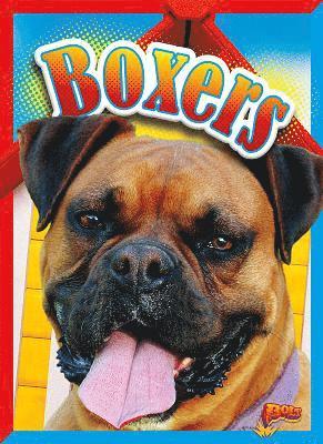 Margaret Mincks - Boxers, Inbunden