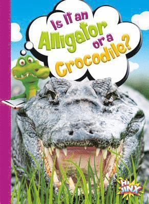 Gail Terp - Is It an Alligator or a Crocodile?, Inbunden