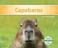 bokomslag Capybaras