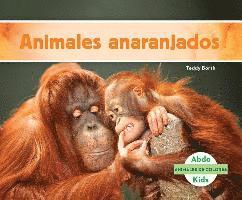 Teddy Borth - Animales Anaranjados (Orange Animals), Inbunden. Tillgänglighet: Tillfälligt slut