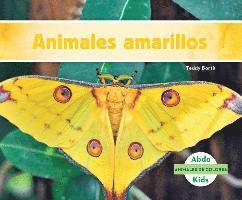 Teddy Borth - Animales Amarillos (Yellow Animals), Inbunden. Tillgänglighet: Tillfälligt slut