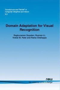bokomslag Domain Adaptation for Visual Recognition