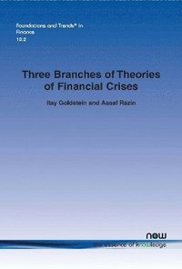 bokomslag Three Branches of Theories of Financial Crises