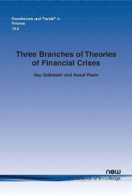 bokomslag Three Branches of Theories of Financial Crises