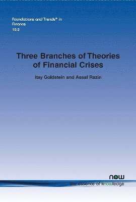 Three Branches of Theories of Financial Crises 1