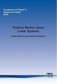 bokomslag Positive Markov Jump Linear Systems