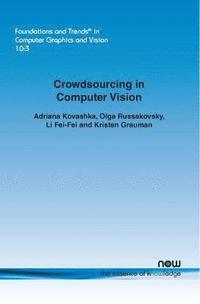 bokomslag Crowdsourcing in Computer Vision