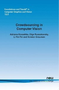 bokomslag Crowdsourcing in Computer Vision