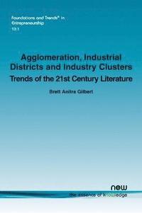 bokomslag Agglomeration, Industrial Districts and Industry Clusters