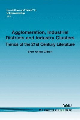 bokomslag Agglomeration, Industrial Districts and Industry Clusters