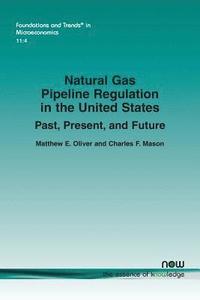 bokomslag Natural Gas Pipeline Regulation in the United States: Past, Present, and Future