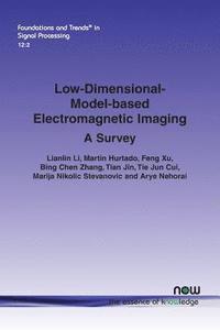 bokomslag Low-Dimensional-Model-based Electromagnetic Imaging