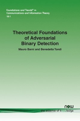 Theoretical Foundations of Adversarial Binary Detection 1
