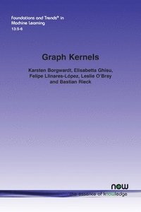 bokomslag Graph Kernels