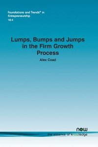 bokomslag Lumps, Bumps and Jumps in the Firm Growth Process