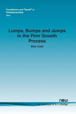 bokomslag Lumps, Bumps and Jumps in the Firm Growth Process