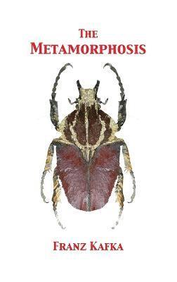 Franz Kafka, Tony Darnell - Metamorphosis, Inbunden