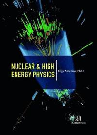 bokomslag Nuclear & High Energy Physics