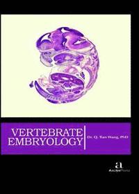 bokomslag Vertebrate Embryology
