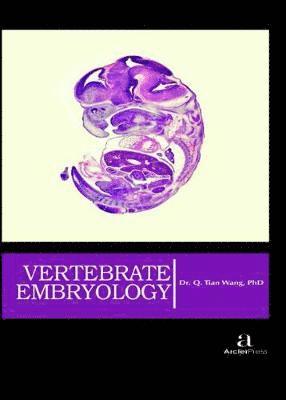 Vertebrate Embryology 1