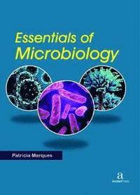bokomslag Essentials of Microbiology