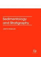 bokomslag Sedimentology and Stratigraphy