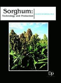 bokomslag Sorghum