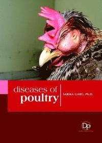 bokomslag Diseases of Poultry