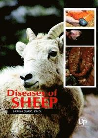 bokomslag Diseases of Sheep