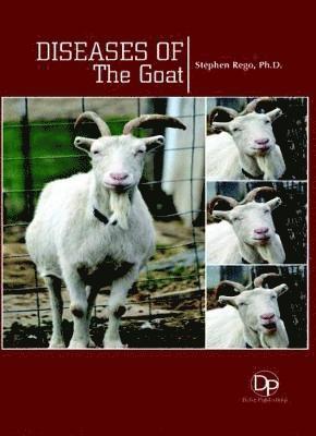 bokomslag Diseases of The Goat