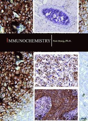 bokomslag Immunochemistry