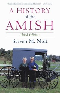 bokomslag A History of the Amish