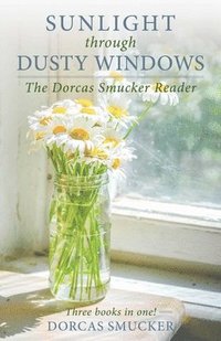 bokomslag Sunlight through Dusty Windows