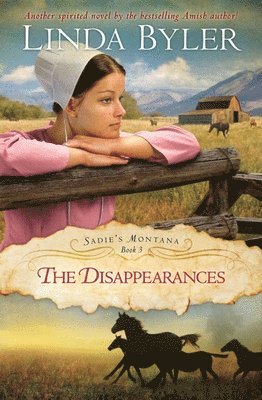 bokomslag The Disappearances