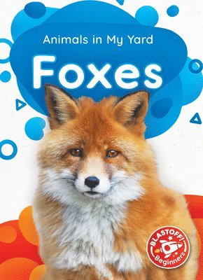 Amy McDonald - Foxes, Häftad