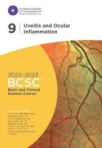 bokomslag 2022-2023 Basic and Clinical Science Course, Section 09: Uveitis and Ocular Inflammation