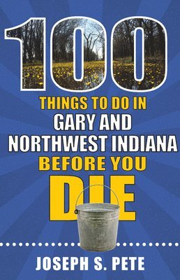 bokomslag 100 Things to Do in Gary and Northwest Indiana Before You Die