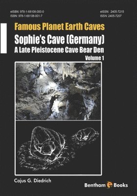 bokomslag Sophie's Cave (Germany) - a Late Pleistocene Cave Bear Den