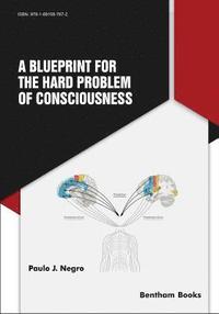 bokomslag A Blueprint for the Hard Problem of Consciousness