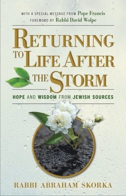 Returning to Life After the Storm 1