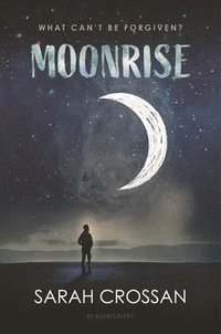 bokomslag Moonrise