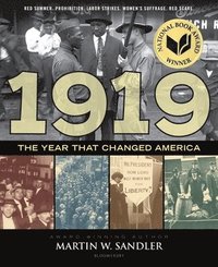 bokomslag 1919 The Year That Changed America