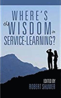 bokomslag Where's the Wisdom in Service-Learning?