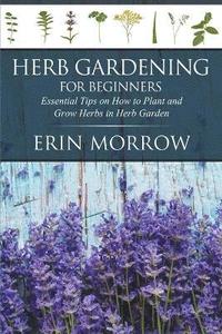 bokomslag Herb Gardening For Beginners