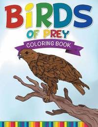 bokomslag Birds Of Prey Coloring Book