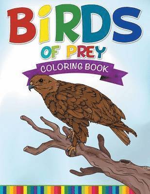 bokomslag Birds Of Prey Coloring Book