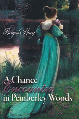 Brigid Huey, Nicole Clarkston - Chance Encounter inPemberley Woods, Häftad