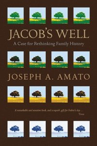 bokomslag Jacob's Well: A Case for Rethinking Family History