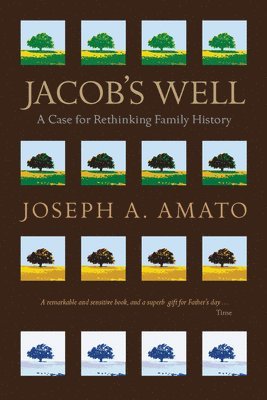 Joseph A. Amato - Jacob's Well: A Case for Rethinking Family History, Häftad
